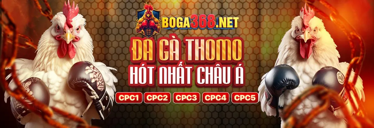 Khuyến mãi đá gà vi84